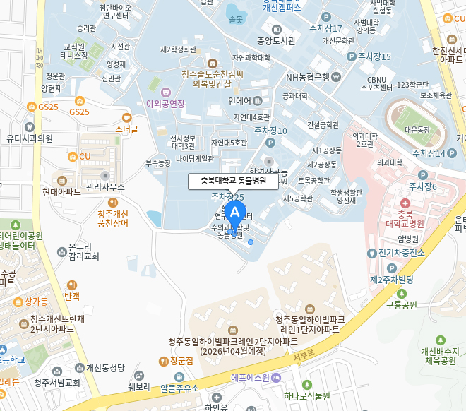 지도