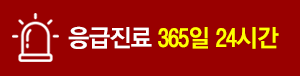 응급진료